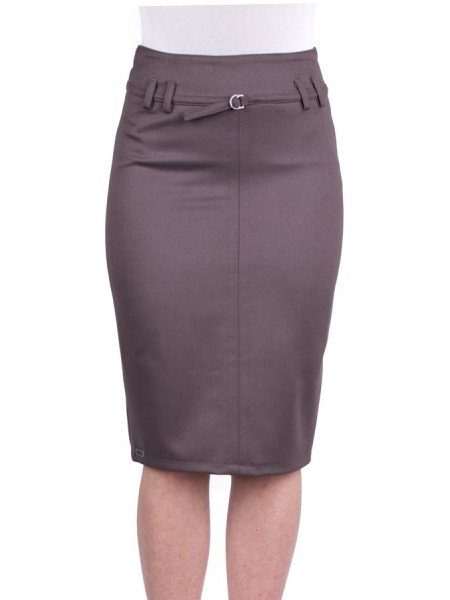 Brown Skirt with Business Length Pencil Type 16508